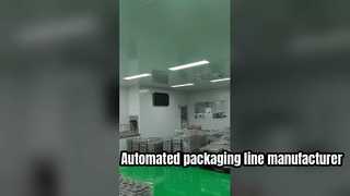 উন্নত উত্পাদনের জন্য Coattech উচ্চ-নির্ভুল ক্লিনরুম পরিবাহক প্যাকেজিং লাইন